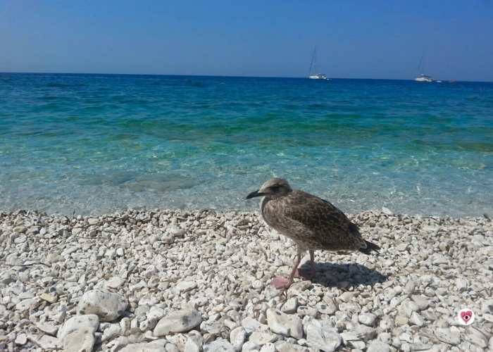 Il mare dell'Isola d'Elba