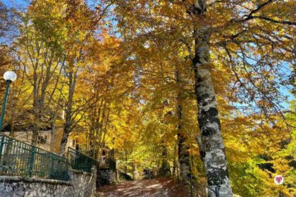 Alla scoperta del foliage a Monte Livata