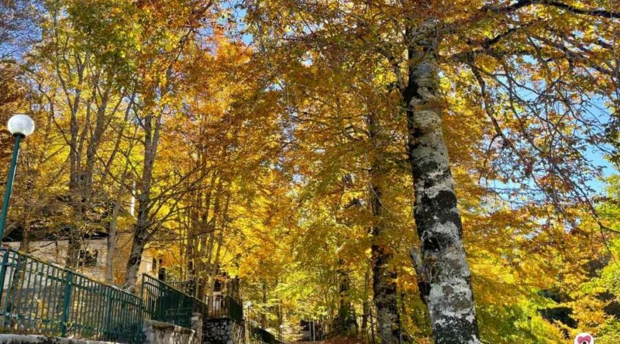 Alla scoperta del foliage a Monte Livata